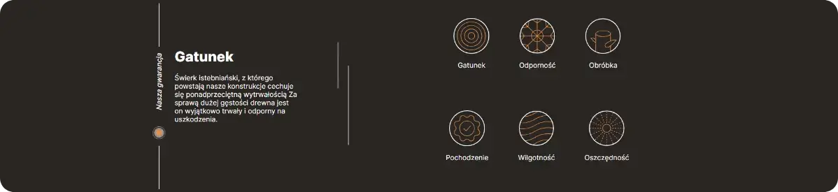 portfolio-image