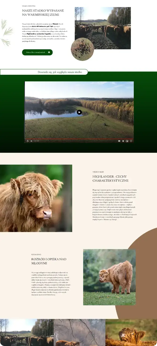 portfolio-background-image